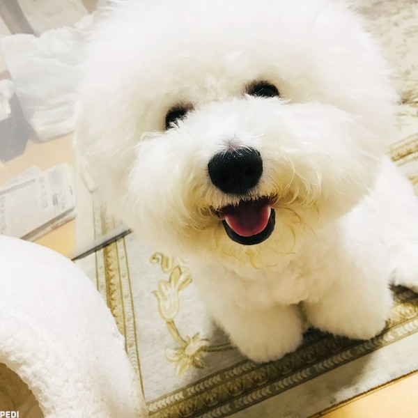 未来くん