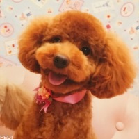いちごちゃん