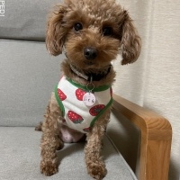 いくらちゃん
