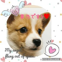 奈乃ちゃん