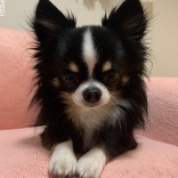 じんくん