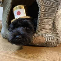 ルークくん