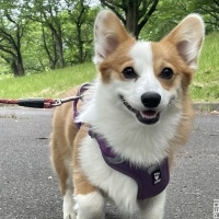 糸ちゃん