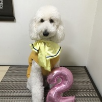 トロロくん