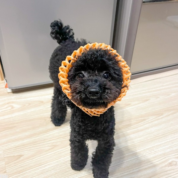 おはぎくん