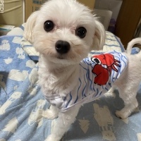 おふねちゃん