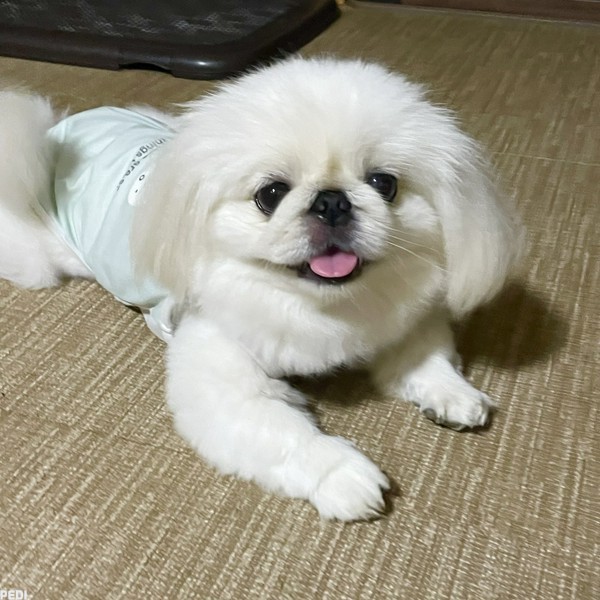 ケイトちゃん