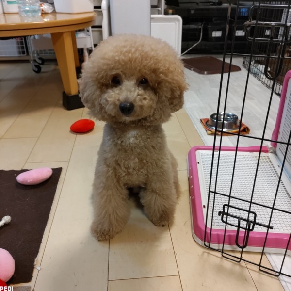 虎太郎くん