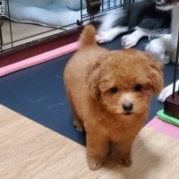 癒ちゃん