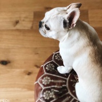 ROYくん