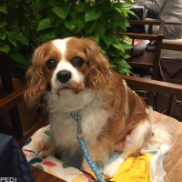 そらちゃん