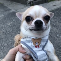 コロンくん