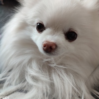 雪ちゃん