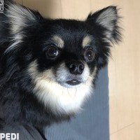 エリックくん