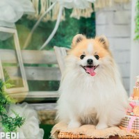 いおりくん