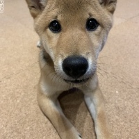 うたちゃん