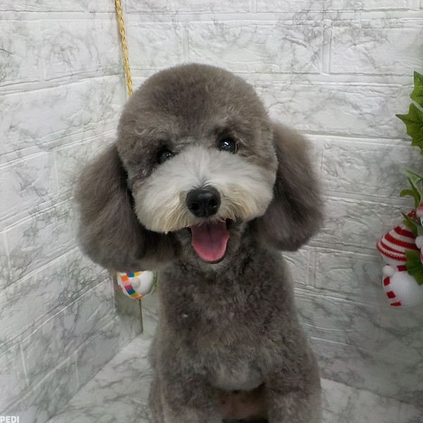 小太郎くん
