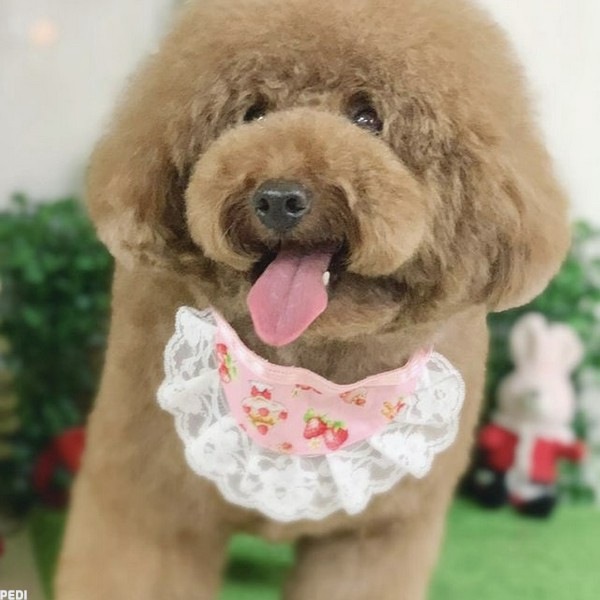ここみちゃん