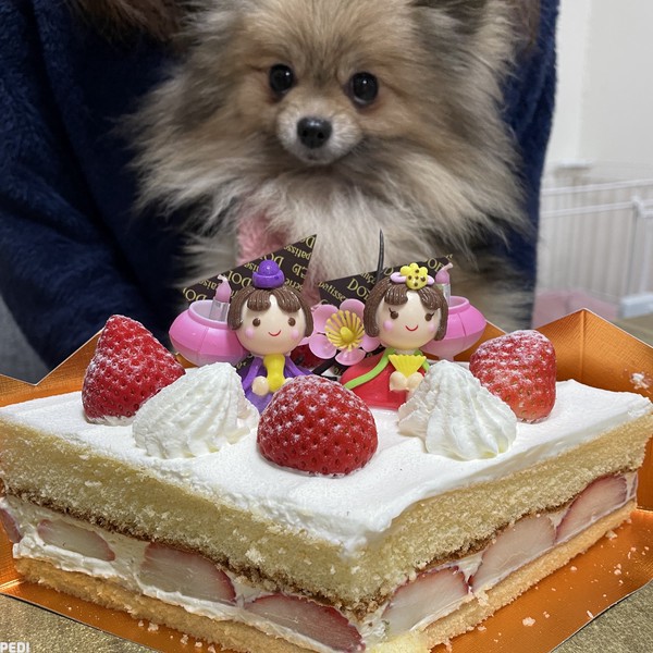 リーナちゃん