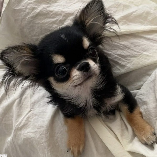 おとちゃん