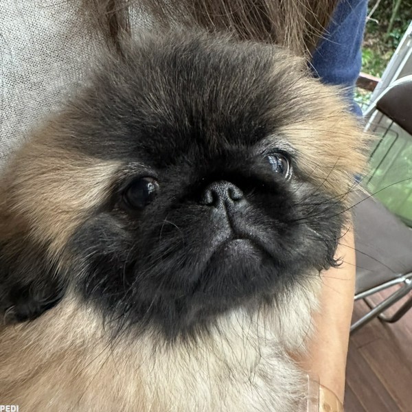 えまこちゃん