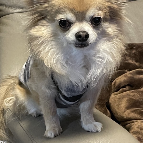 しょうたろうくん