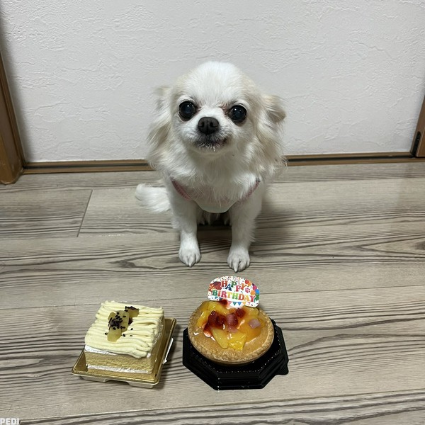 れいちゃん