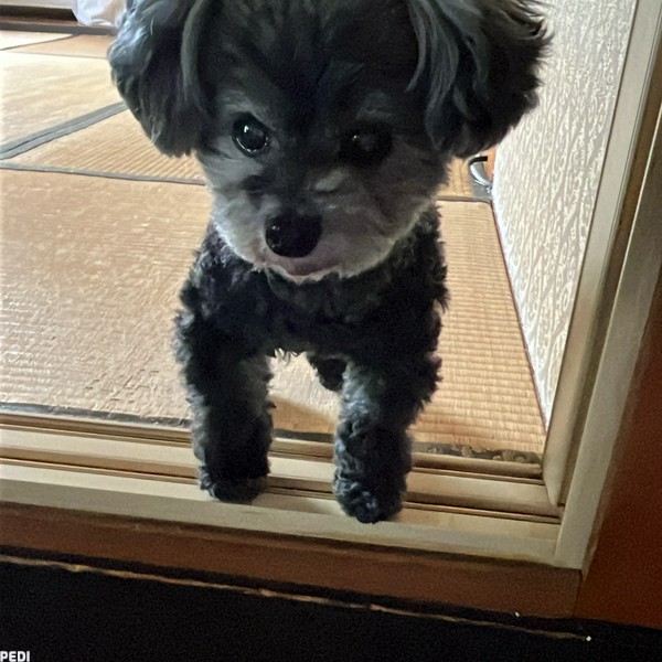 まりん