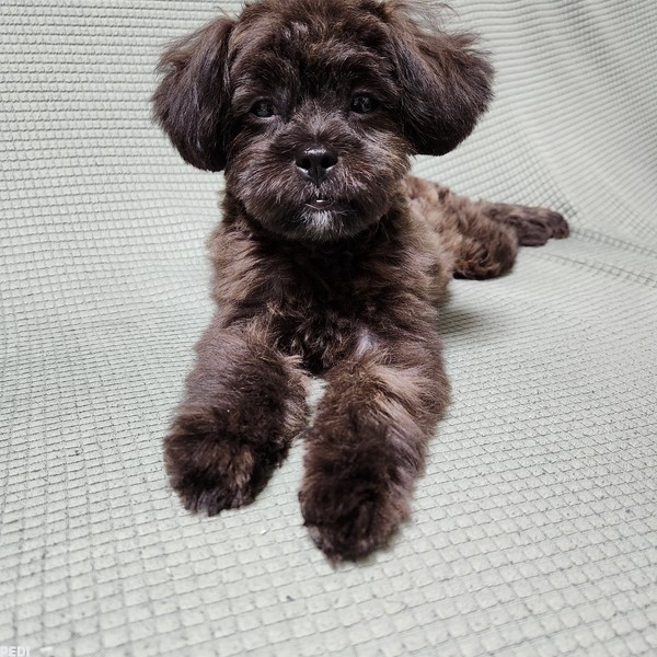 エマちゃん