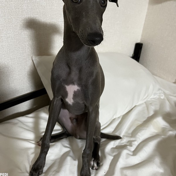禄くん