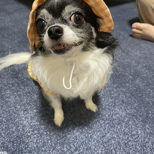 むむちゃん
