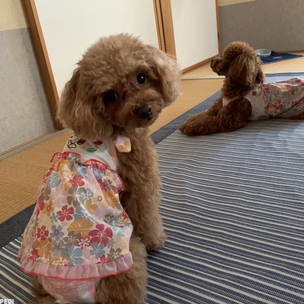 リアラちゃん