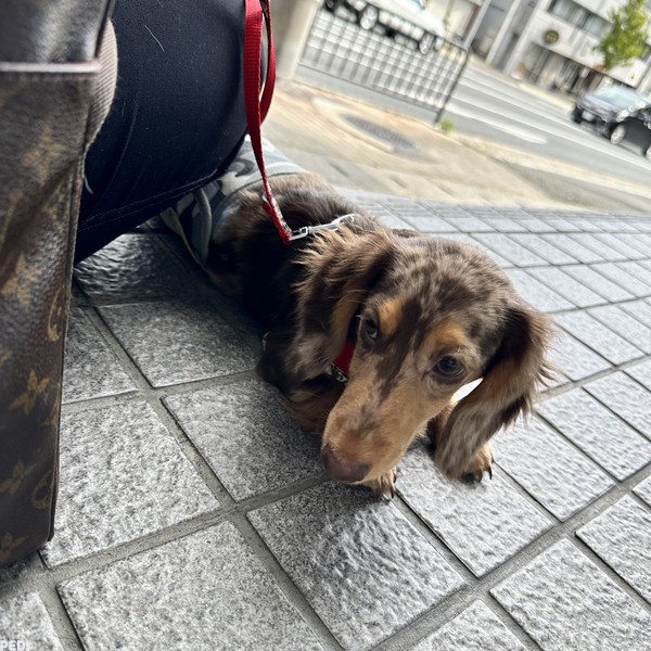 そらくん