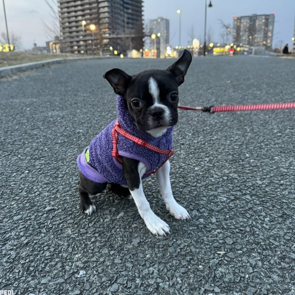 アグちゃん