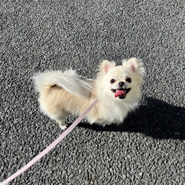 つきちゃん