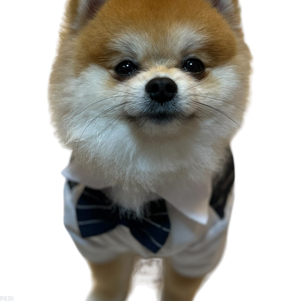 小麦くん