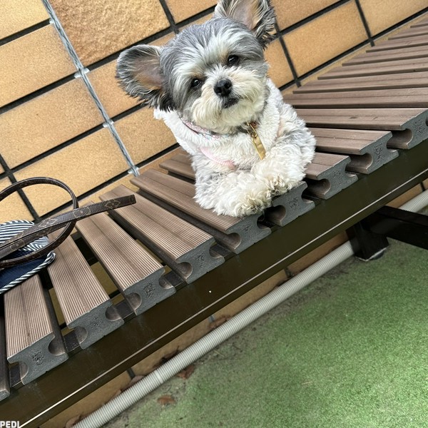 もずくちゃん