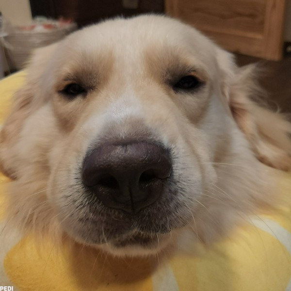じゅうべいくん