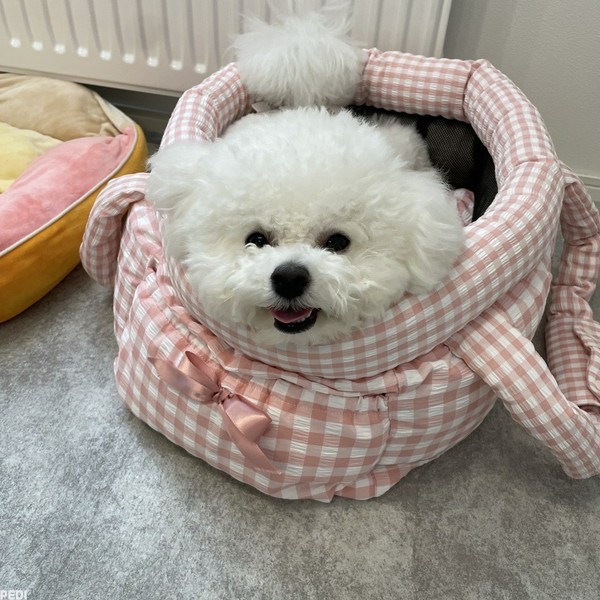 モコちゃん
