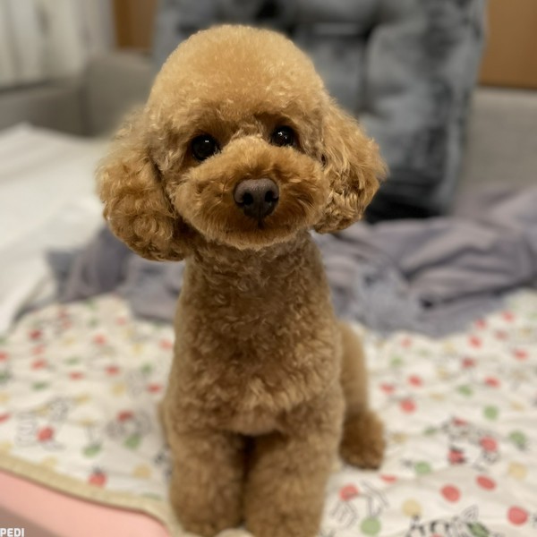 みろくん