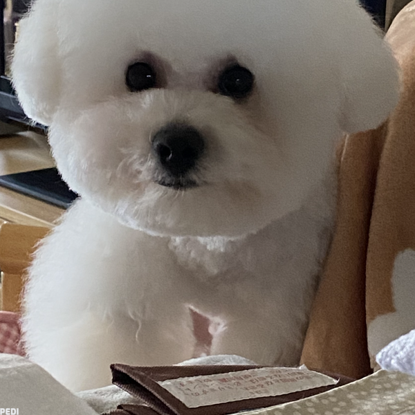 とあくん