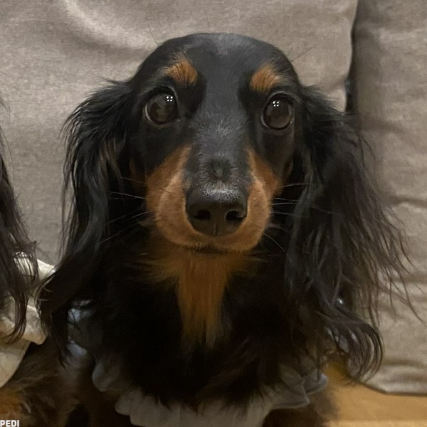 雫ちゃん