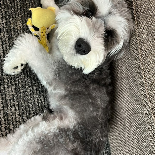 とのくん