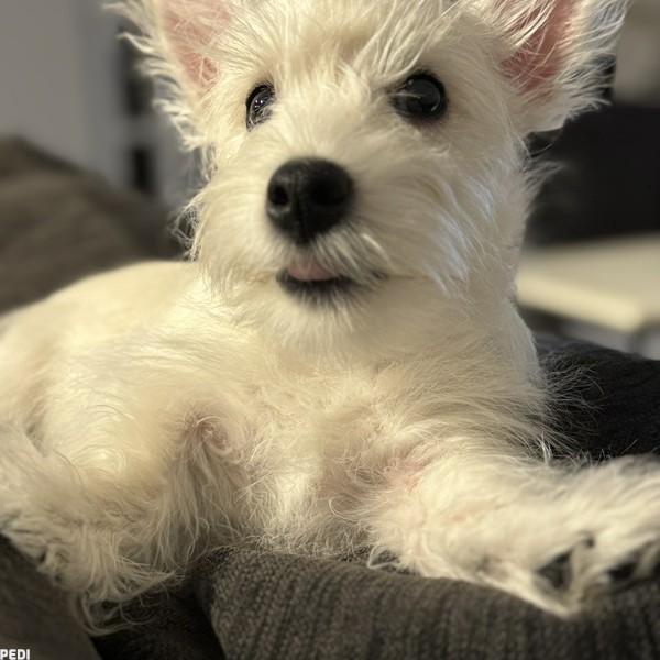 アレックスくん