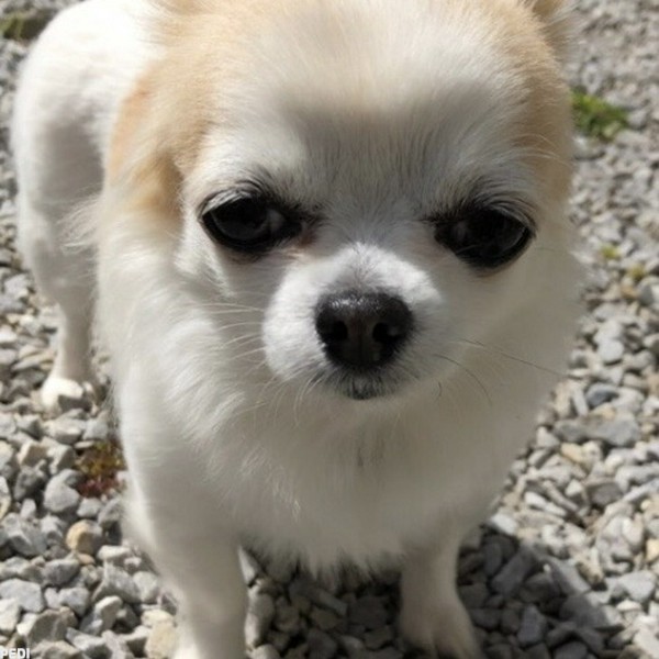 ベリーちゃん