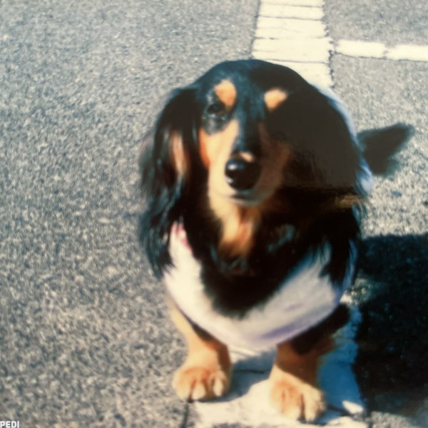 Rui（享年12才）ちゃん