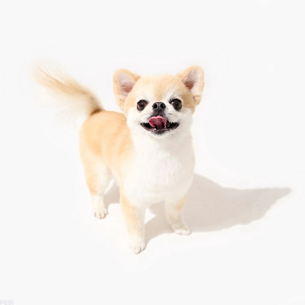 じょーじくん