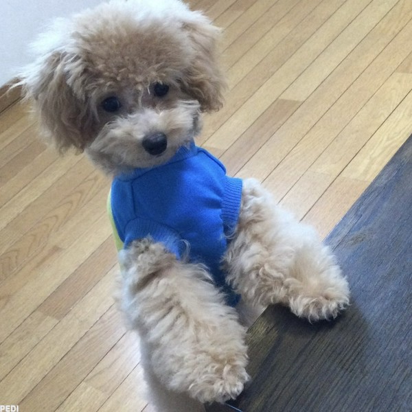 るんちゃん