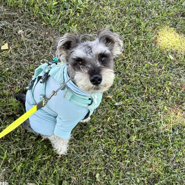 ももたろうくん