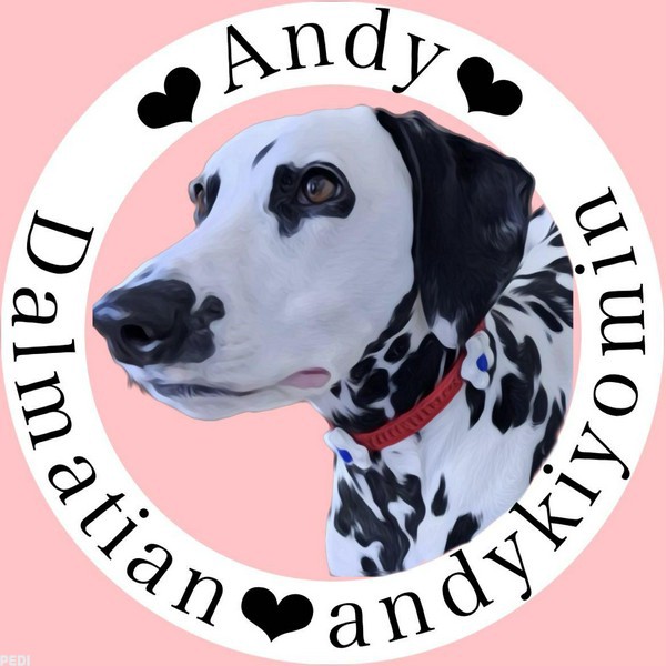 アンディちゃん